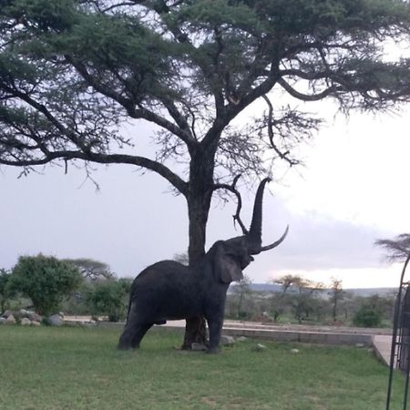 Seronera Wildlife Lodge Serengeti Buitenkant foto