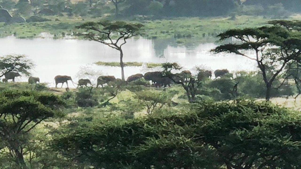 Seronera Wildlife Lodge Serengeti Buitenkant foto